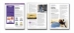 LAP-EC-008, Regulate and Protect (Government and Business) (Download) - LAP-EC-008