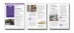 LAP-EC-070, Business Connections (Business and Society) (Download) - LAP-EC-070