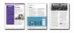 LAP-EC-106, On the Up and Up (Business Ethics) (Download) - LAP-EC-106