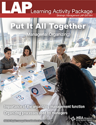 LAP-SM-064, Put It All Together (Managerial Organizing) SM:064, Strategic Management