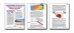 LAP-SM-075, Prepare for the Worst; Expect the Best (Nature of Risk Management) (Download) - LAP-SM-075